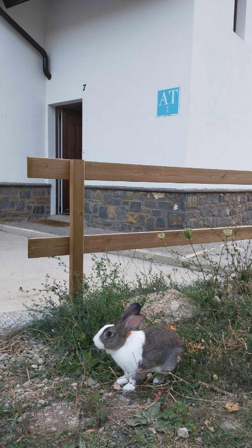 Casa Cotefablo Aloj Sorrosal Gavin Biescas Apartman Kültér fotó